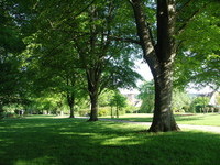 Kurpark Schömberg (Bildnachweis: Touristik und Kur Schömberg) Kurpark Schömberg (Bildnachweis: Touristik und Kur Schömberg)