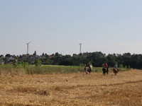 (Bildnachweis: Mit freundlicher Genehmigung der Gemeinde Fluorn-Winzeln) (Bildnachweis: Mit freundlicher Genehmigung der Gemeinde Fluorn-Winzeln)
