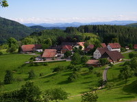 Schwand im Sommer (Bildnachweis: Gemeinde Kleines Wiesental) Schwand im Sommer (Bildnachweis: Gemeinde Kleines Wiesental)