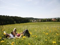  (Bildnachweis: Mit freundlicher Genehmigung der Stadt Bad D�rrheim)