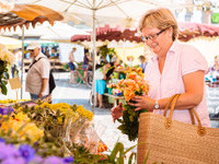(Bildnachweis: Mit freundlicher Genehmigung der Stadt Emmendingen, Martin Ziaja) (Bildnachweis: Mit freundlicher Genehmigung der Stadt Emmendingen, Martin Ziaja)
