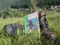 (Bildnachweis: Mit freundlicher Genehmigung der Tourist Information Enzklösterle) (Bildnachweis: Mit freundlicher Genehmigung der Tourist Information Enzklösterle)