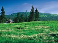 (Bildnachweis: Copyright der Hochschwarzwald Tourismus GmbH) (Bildnachweis: Copyright der Hochschwarzwald Tourismus GmbH)