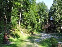 (Bildnachweis: Mit freundlicher Genehmigung der Gemeinde Friesenheim) (Bildnachweis: Mit freundlicher Genehmigung der Gemeinde Friesenheim)