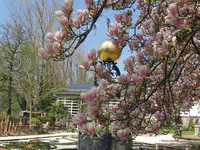 (Bildnachweis: © Zweckverband Im Tal der Murg) (Bildnachweis: © Zweckverband Im Tal der Murg)