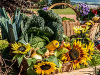 G�rwihl - Erntedankumzug (Bildnachweis: Mit freundlicher Genehmigung der Hotzenwald Tourist-Info G�rwihl  )