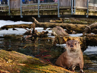 (Bildnachweis: Mit freundlicher Genehmigung der Stadt Pforzheim) (Bildnachweis: Mit freundlicher Genehmigung der Stadt Pforzheim)