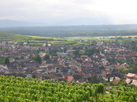 Ihringen (Bildnachweis: Mit freundlicher Genehmigung der Kaiserstuhl Touristik e.V. Ihringen) Ihringen (Bildnachweis: Mit freundlicher Genehmigung der Kaiserstuhl Touristik e.V. Ihringen)