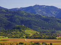  (Bildnachweis: Ferienregion M�nstertal Staufen, Erich Spiegelhalter)