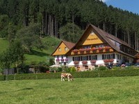 Bauernhöfe im Schwarzwald