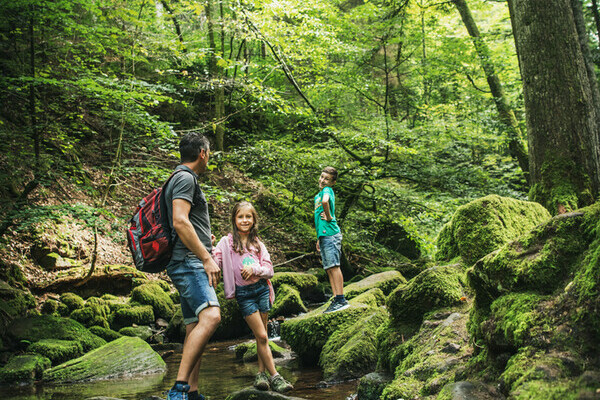Familie im Monbachtal Copyright: (©Locher Fotodesign & Manufaktur) Familie im Monbachtal Copyright: (©Locher Fotodesign & Manufaktur)