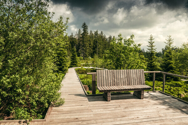 Der Lotharpfad Copyright: (Mit freundlicher Genehmigung von Baiersbronn Touristik | © Max Günter) Der Lotharpfad Copyright: (Mit freundlicher Genehmigung von Baiersbronn Touristik | © Max Günter)