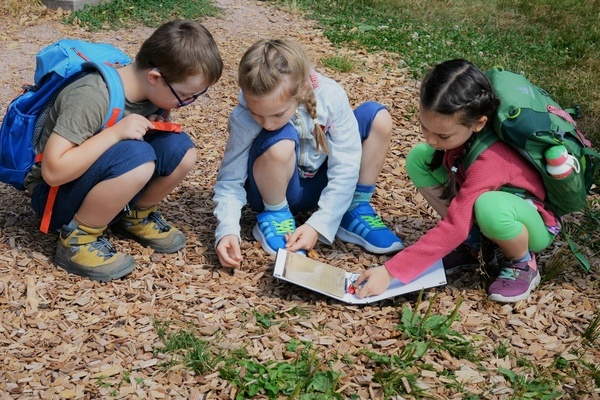 Annis Schwarzwald Geheimnis in Schönwald Copyright: (© Hochschwarzwald Tourismus GmbH) Annis Schwarzwald Geheimnis in Schönwald Copyright: (© Hochschwarzwald Tourismus GmbH)